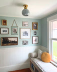 Frances Globe Flushmount