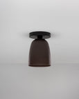 Frances Cone Flushmount in Raw Umber